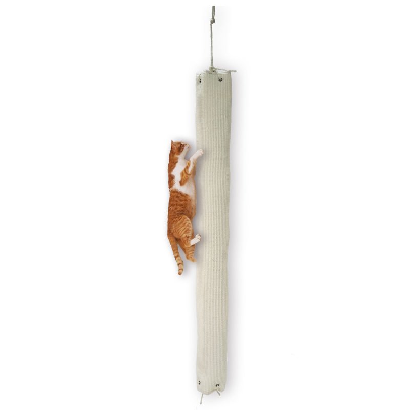 Cat climbing toys best sale